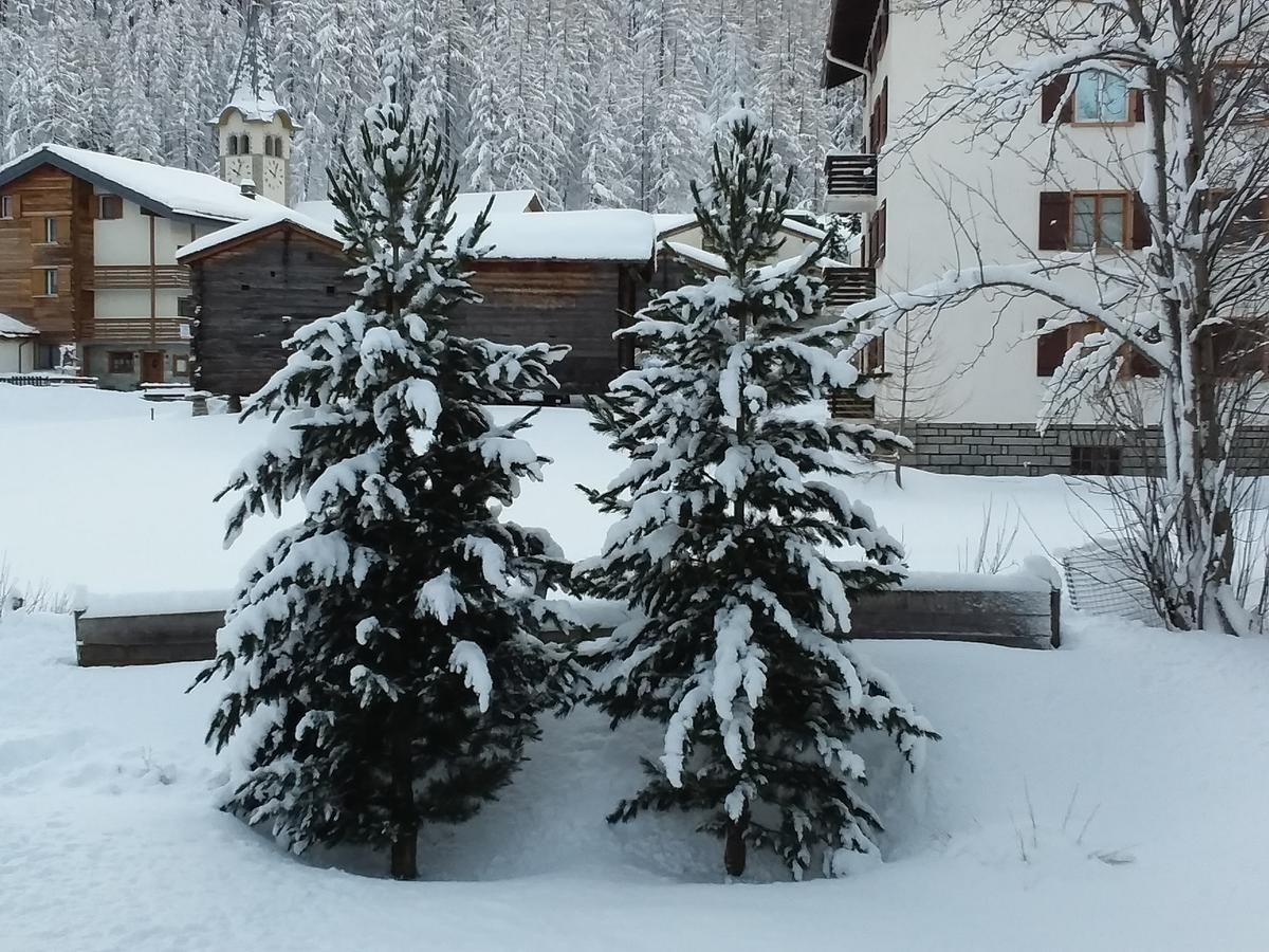 Anis Apartment Saas-Almagell Bagian luar foto
