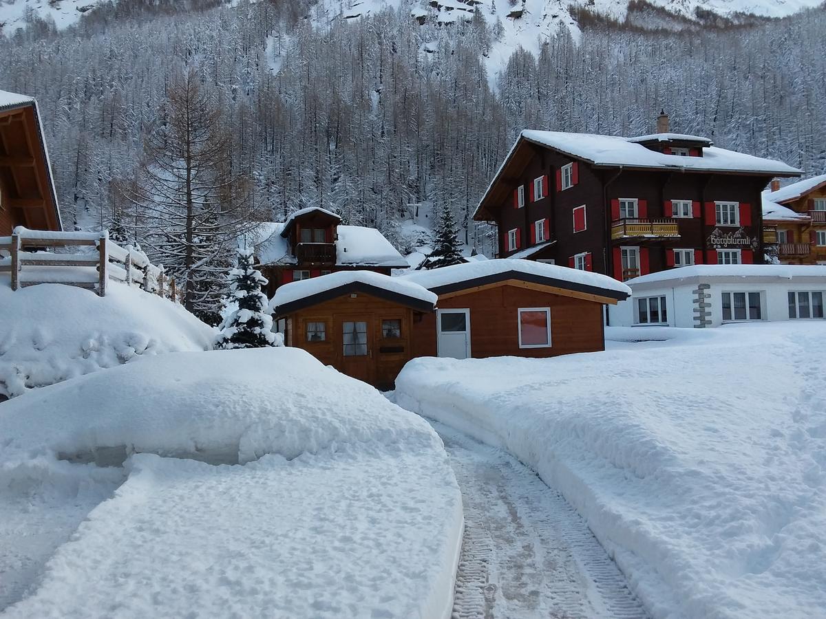 Anis Apartment Saas-Almagell Bagian luar foto